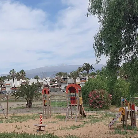 Mariposa Costa Del Silencio