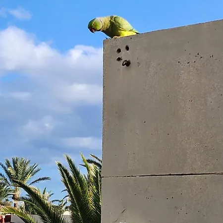 Apartmán Mariposa *